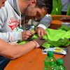 Autogramida Bestek