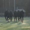 Trnink A-tmu 23.1.2019